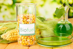 Stroud Green biofuel availability